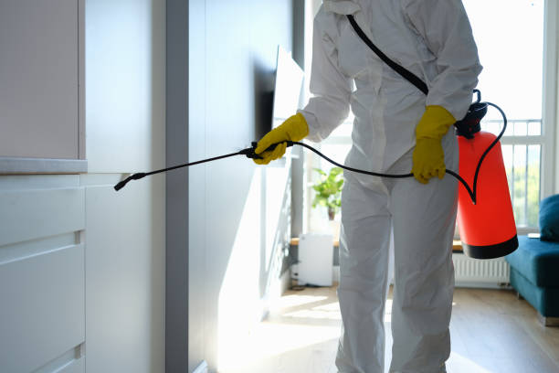 Best Mold Testing  in Washburn, WI