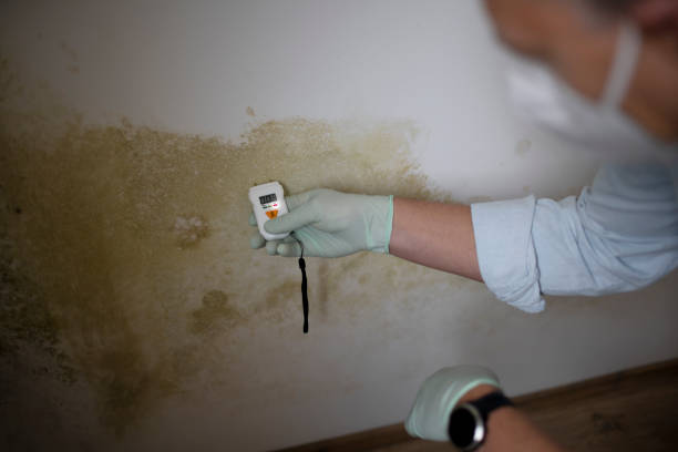 Water Damage Restoration in Washburn, WI