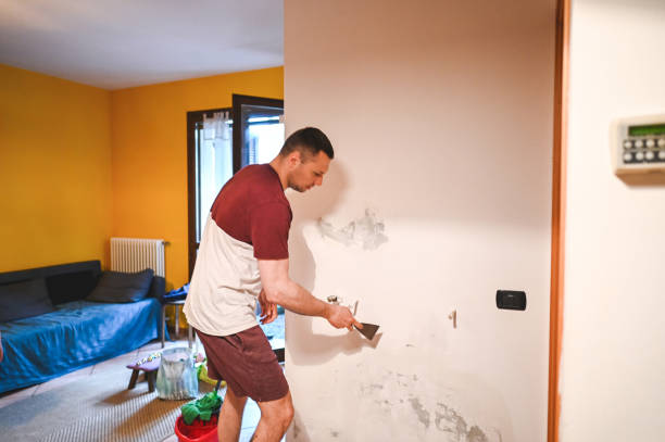 Best Affordable Mold Removal  in Washburn, WI